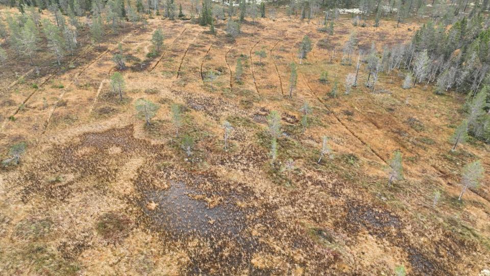 Lenke til artikkel: Restaurering av Vollmyra